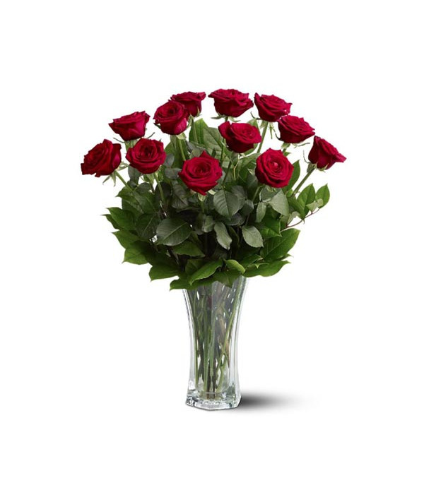 Teleflora's Rose Classique - Dozen Red Roses Bouquet - Teleflora